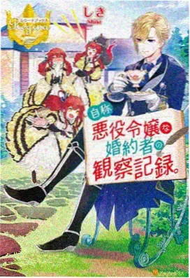 布拉德 回复术士的重来人生